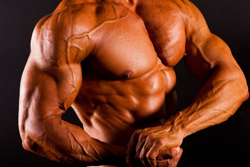 Повысьте результаты наращивания мышц - ᐉ proteinnatural.com.ua