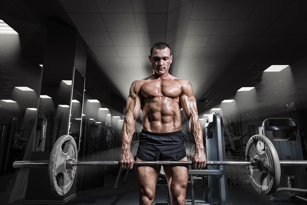 Фотографии Мужчины мускулы Спортзал тренируется Спорт штангой