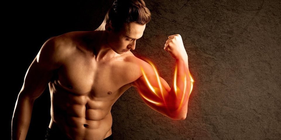 Научный подход в наращивании мышц